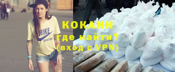 спиды Богданович