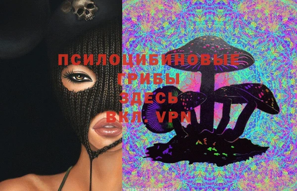 тгк Богородск