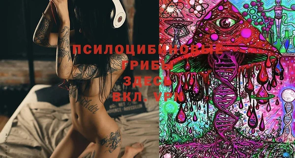 спиды Богданович